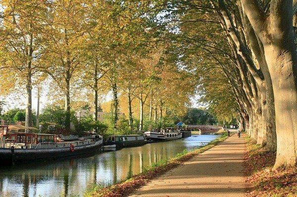 10 lieux et activités à visiter à Toulouse