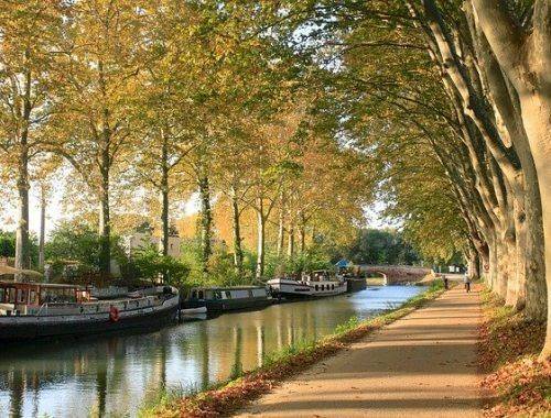 10 lieux et activités à visiter à Toulouse