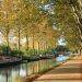 10 lieux et activités à visiter à Toulouse